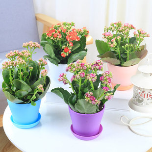 �L�ۻ������ذ�����󻨎����������ļ��҃��_�����B�Ļ���ֲ��