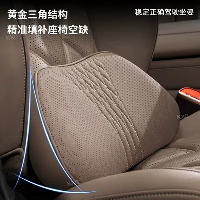 Song Pro Yuan Plus Car Waist support