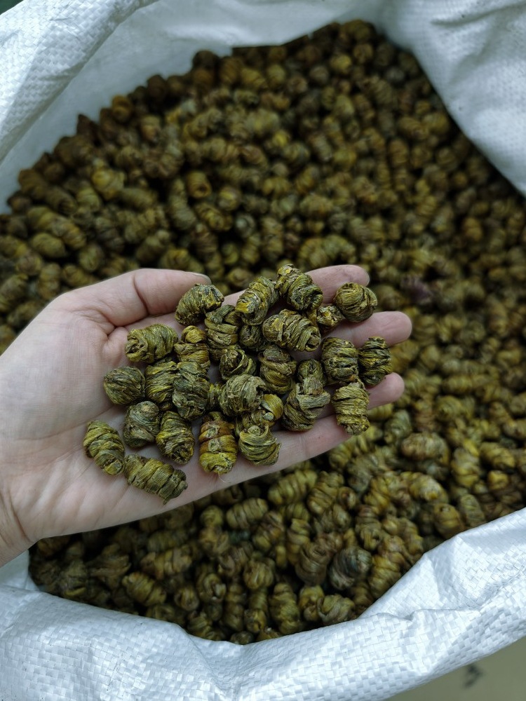 Premium Dendrobium Officinale Feng Dou Tie Pi Shi Hu Dried Stems 250g Traditional TCM Herbal Tea and Soup Ingredient in use