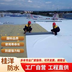 tpo防水シート強化防湿材熱可塑性カラースチールタイル屋根ポリマー自己粘着シート