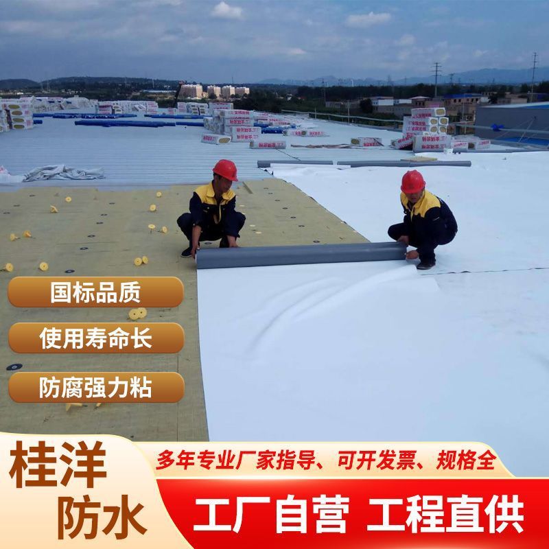 tpo防水シート強化防湿材熱可塑性カラースチールタイル屋根ポリマー自己粘着シート|undefined