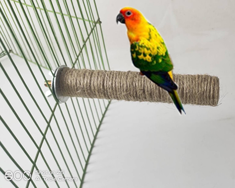 微信图片_20200918230332_副本