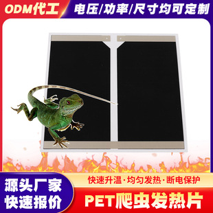 ���Q�羳���x�ӟ�|����������B��ж��~�l��Ƭ