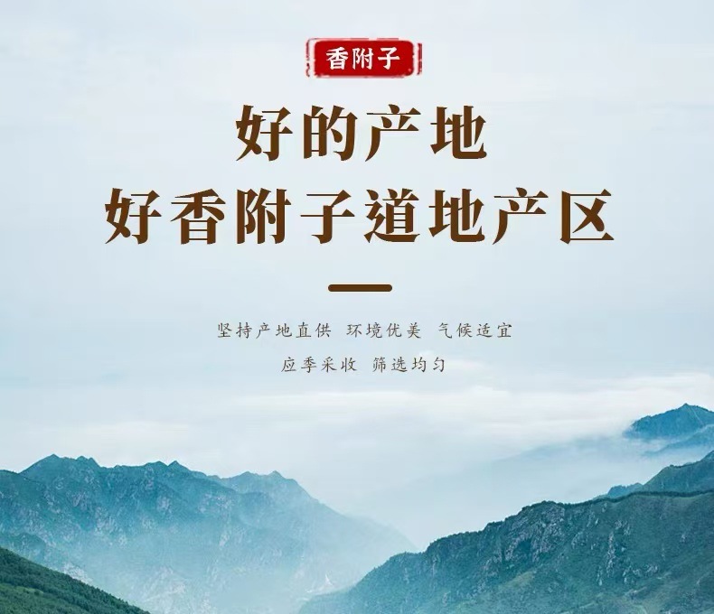 Xiang Fu (Cyperus rotundus) — Dried Raw Cyperus Rhizome, Food Herb for Tea & Soup overview