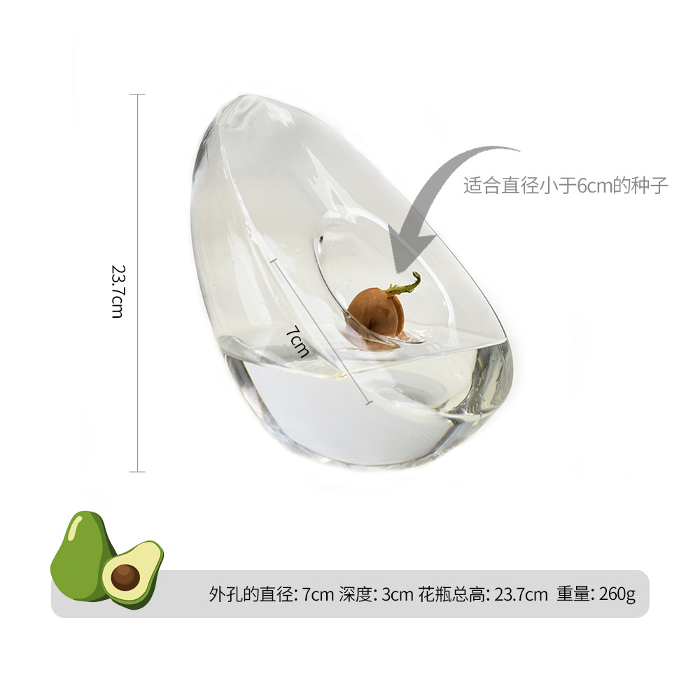 Vaso hidropónico de aguacate modelado para semillas de núcleo de aguacate, recipiente de cultivo y recipiente especial para jardinería
