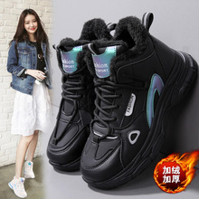 ѩѥŮӽqӺ󵽳ЌWӖ|ЬϵЬŮ