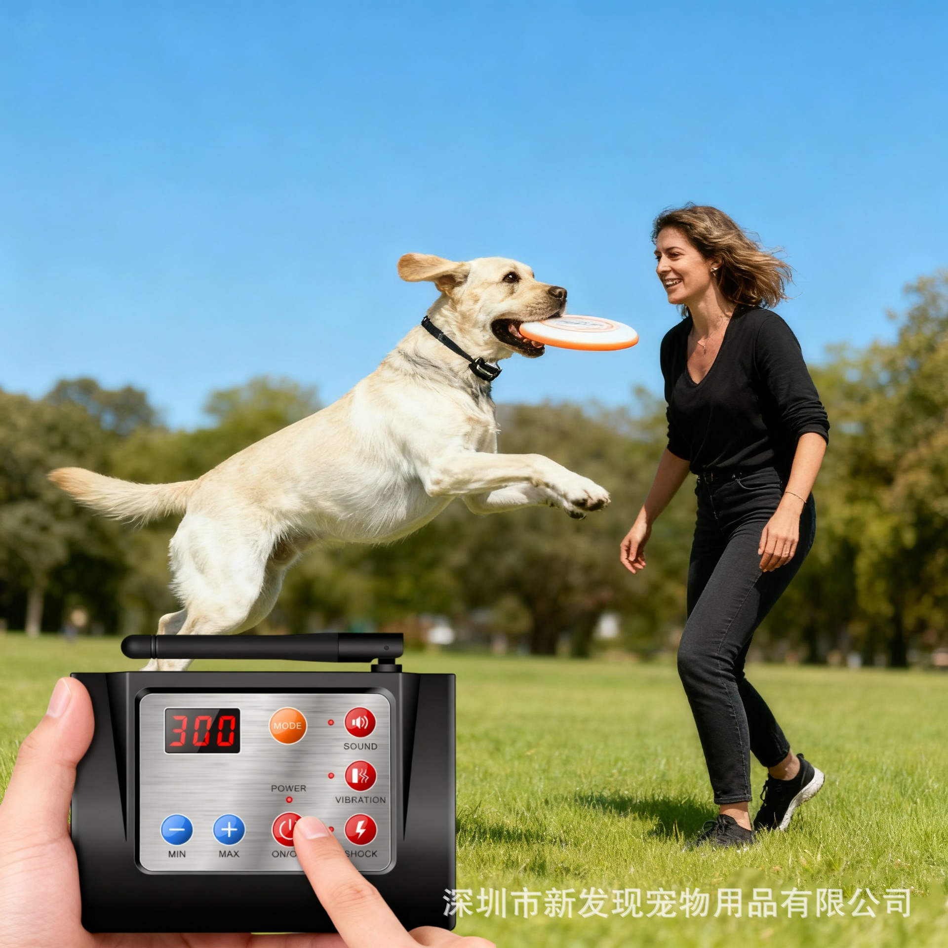 Pet Supplies Two-In-One Smart Rechargeable Pet Dog Training Device Dog Collar Pet Wireless Remote Control Electronic Fence