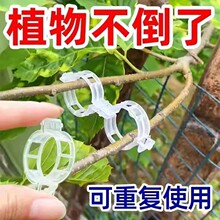 绿植果树植物固定夹卡扣藤蔓固定器秧苗爬藤支撑杆果蔬秧苗吊秧夹