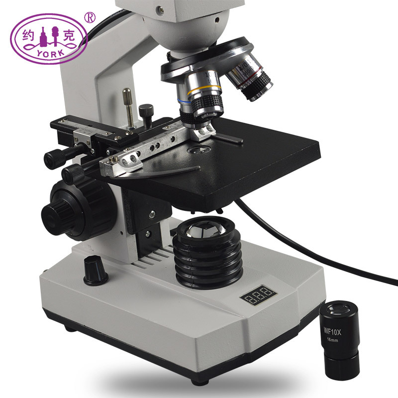 Screen, microscope, artificial equipment for experiments, 640 times increase 3