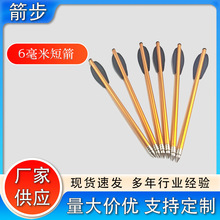 工厂直销跨境6毫米金属铝短箭运动户外弓箭射箭箭羽箭头10支装