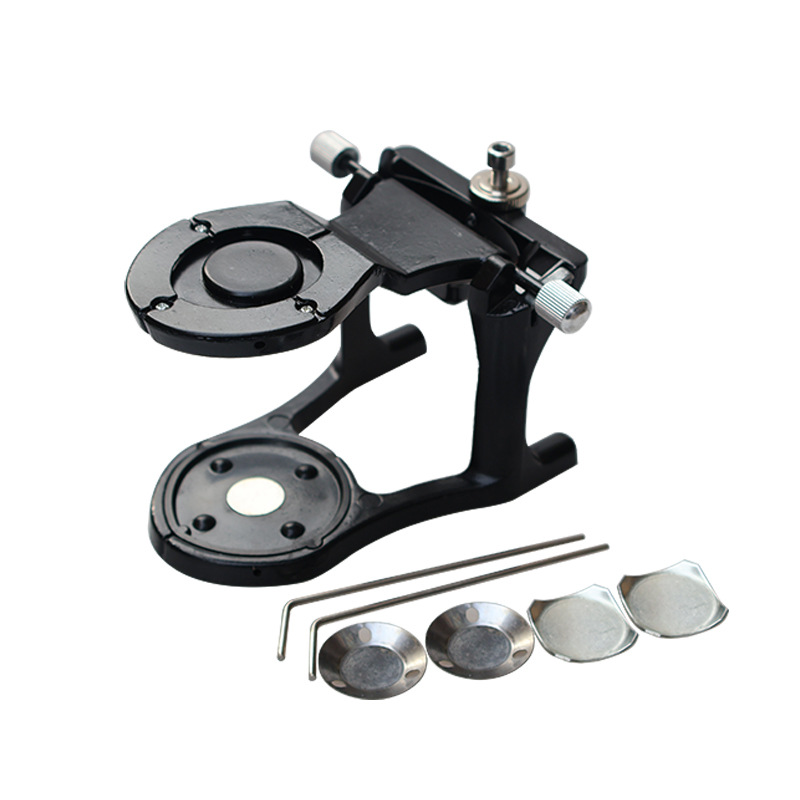 Modelo de irrigación de dientes grandes y pequeños de la técnica de la cavidad oral promedio de descomposición de planillación de la técnica