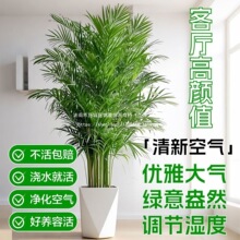 ���FҬ��ɢβ�����Դ����҃ȾGֲ�͏d�̨�k����ֲ���Pβ�����ȩ