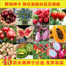 �羳�N�����l�Q���b�N���O��Ҏ�񣬴��l�N�ӎ��N�˺����lˮ���N��