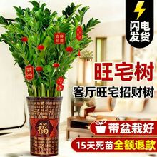 ���X������ֲ���҃Ⱥ��B���ܿ͏d�ļ��k���Ҵ�lؔ����ؔ�Gֲ�辰