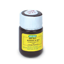 ����Bio-Rad1536153Affi-Gel Protein A Support, ���z֧�ε���