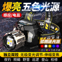 ���͏����^��5ɫ��Դ׃���h���L�m���t�����������~�����Ͳ