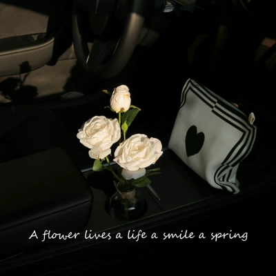 Cross-Border Car Ornaments, High-End Light Luxury Car Accessories, Car Center Console, Cute Vase, Roses (Car ornaments) - french-burnt-edge-rose-white-hemp-rope-english-bottle