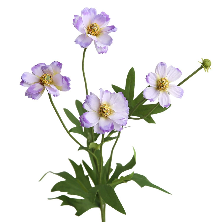 Silk flower five -headed small wild chrysanthemum Simille