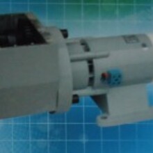 Wuxi Yanzhong Micromotor C0.��LTDHDZ-21004C  ��·���õ綯��