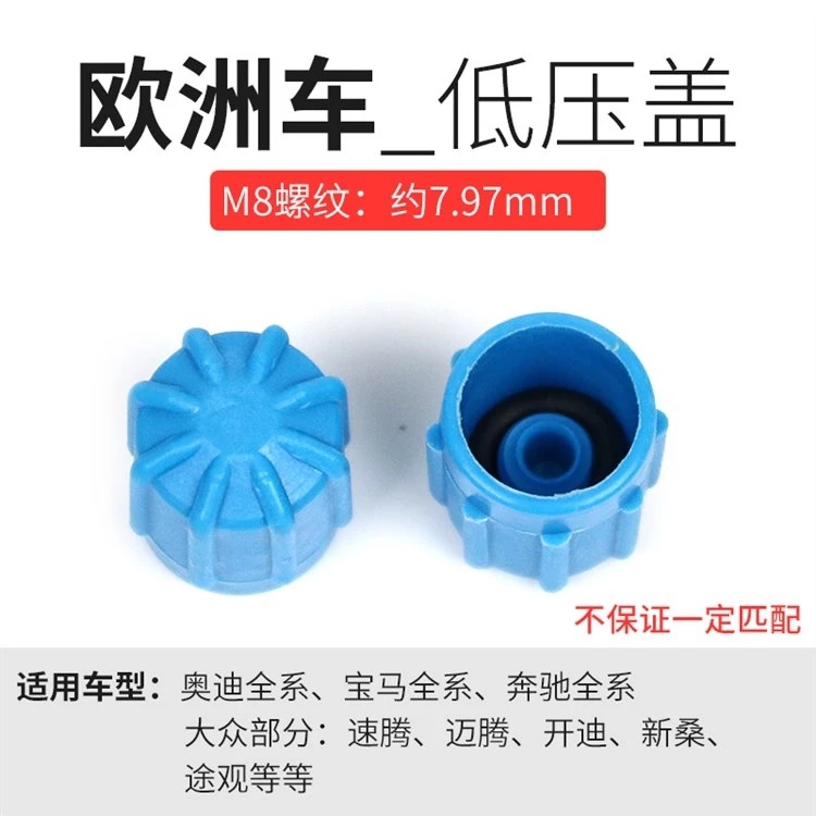 欧洲车盖子2