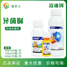 �~����25%������ ��ù��ș���ѹ��� �R���rș������