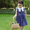 Summer silk dress, cute small princess costume, skirt