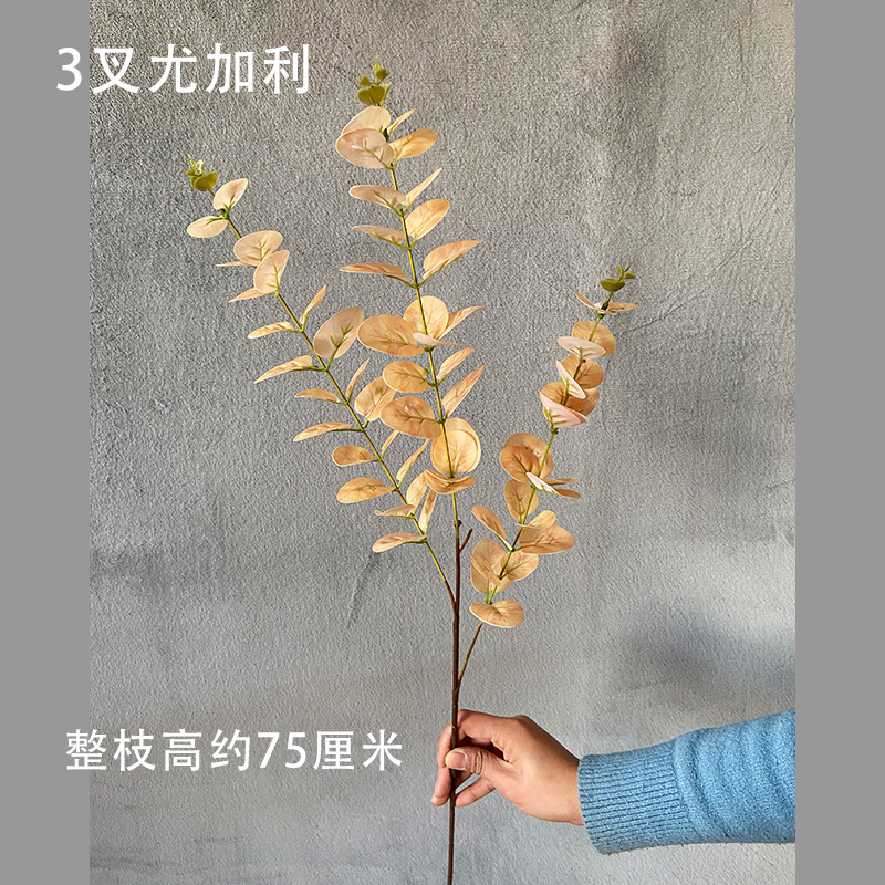 3D 소프트 접착제 유칼립투스 샴페인