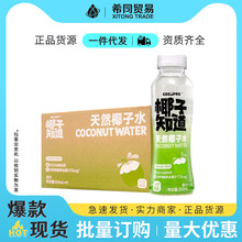 椰子知道天然椰汁饮品电解质水 商超 送礼团购整箱批发椰子水饮料