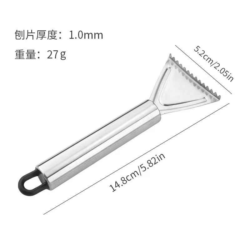 물고기 규모 계획