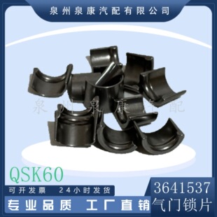 �m��춿���˹QSK45 QSK60�l�әC���T�iƬ 3641537 ���y�i�A