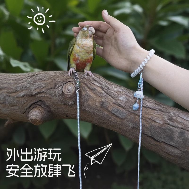 鹦鹉专用放飞绳超轻不伤脚虎皮牡丹玄凤镭射外出牵引绳伸缩遛鸟绳|undefined