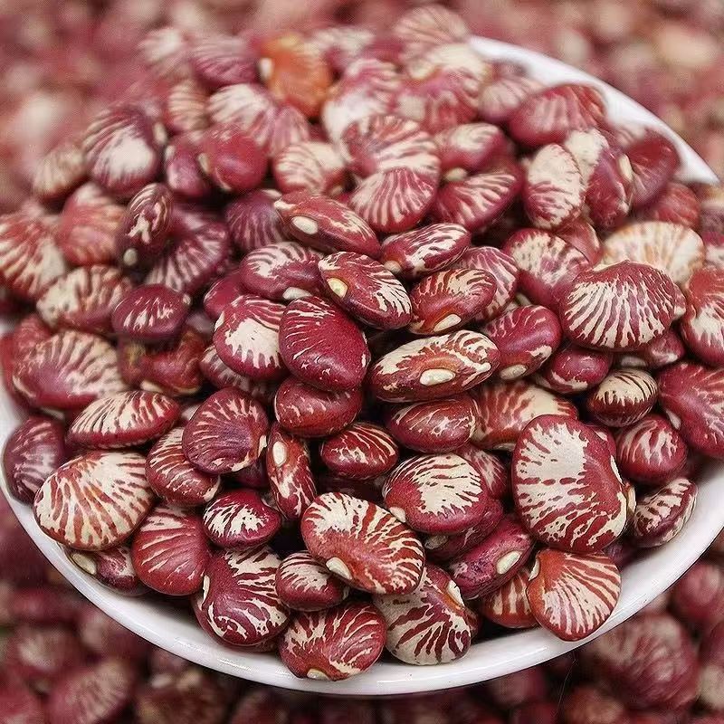 新货斑马豆班马豆云南农家自种大圣豆饭豆荷包豆干货煮粥煲汤批发