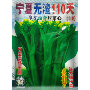 �߲˷N�����l Խ����110����ķN�� ���Ͳ��� �r�I����20�˿ɷN