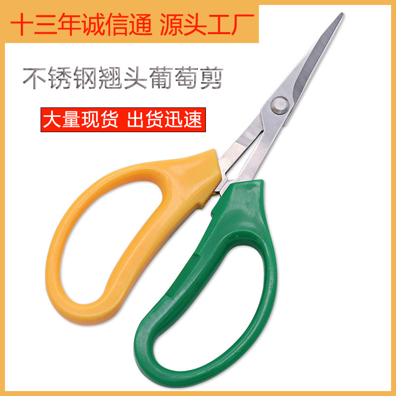 【厂家现货】不锈钢修枝剪刀翘头葡萄蔬果剪摘果剪花艺花枝树枝剪