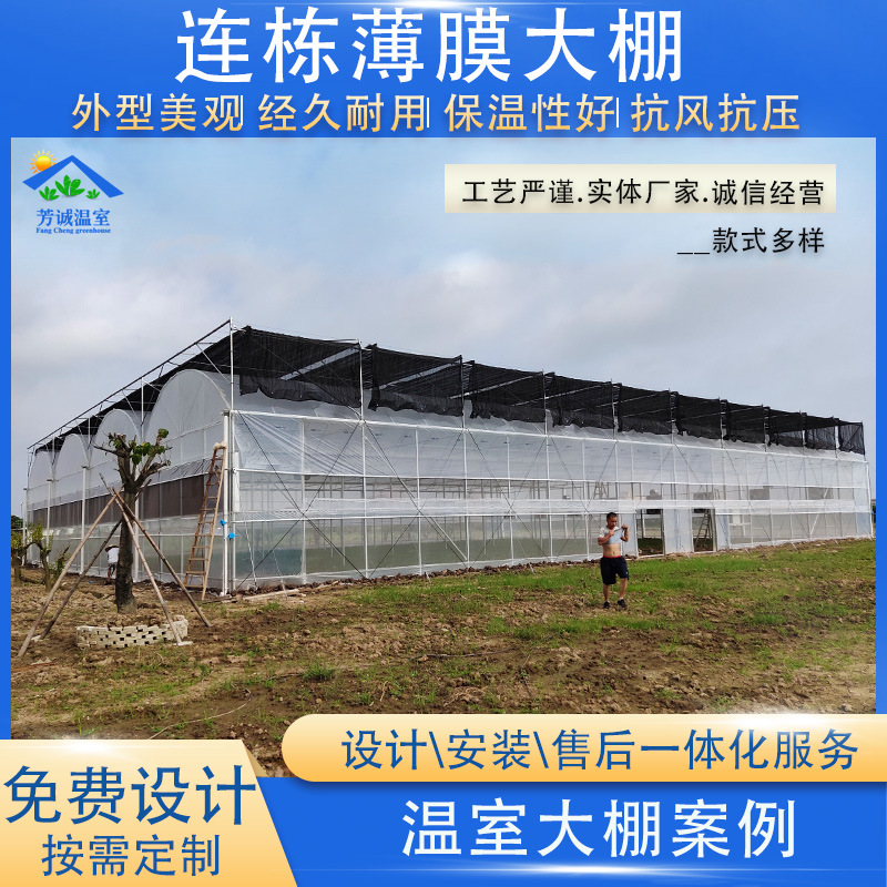 供应塑料温室大棚东莞温室大棚设计热镀锌钢管骨架透明薄膜材料