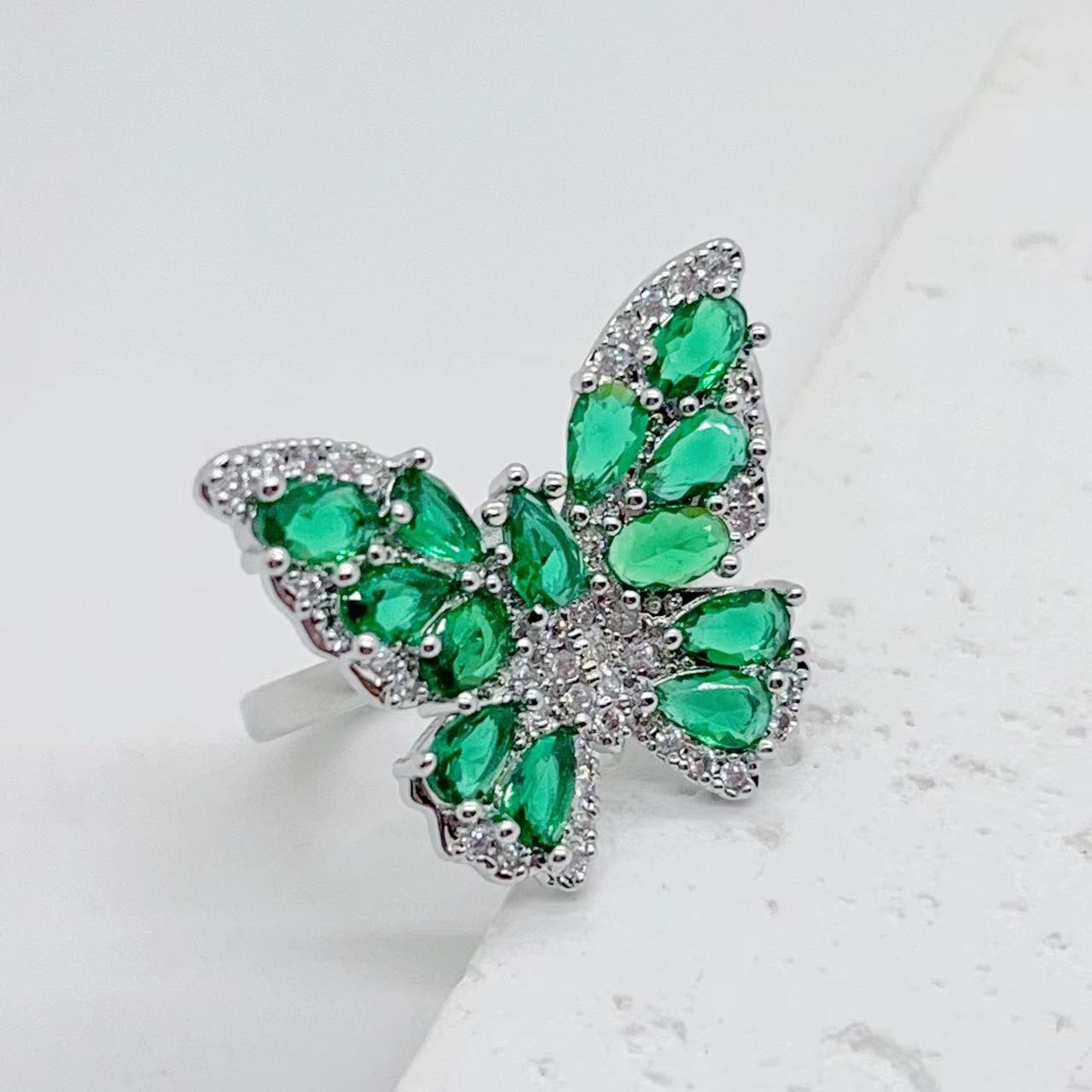 IMG_0865(20230626-092321)