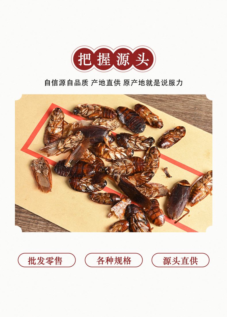 Fei Lian (Blatta orientalis) Dried Medicinal Insect — Traditional Chinese Herbal Material key features
