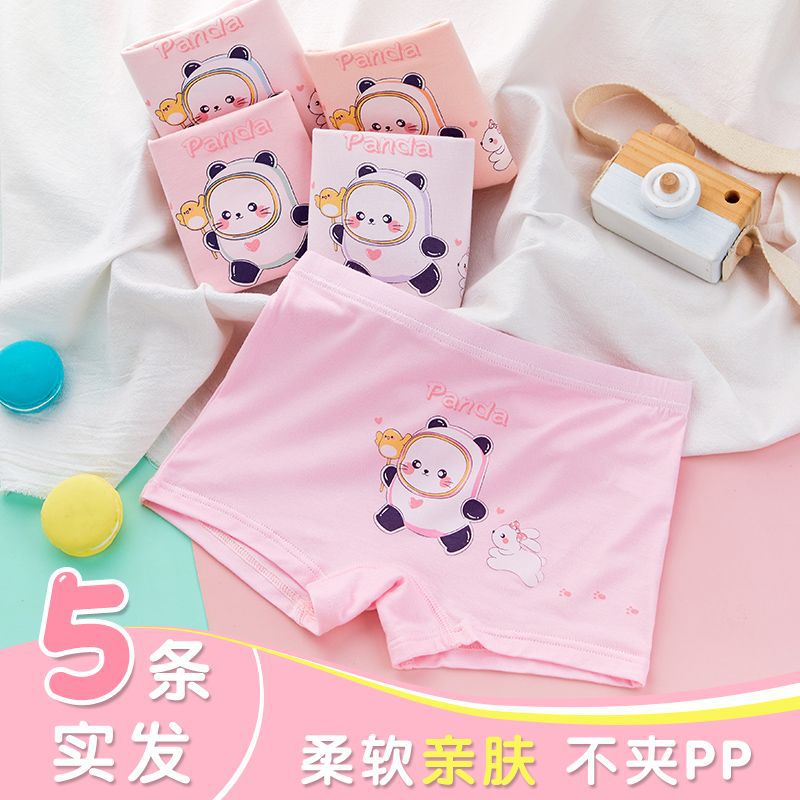 폭발 팬더 클래스 A 모달 5 팩