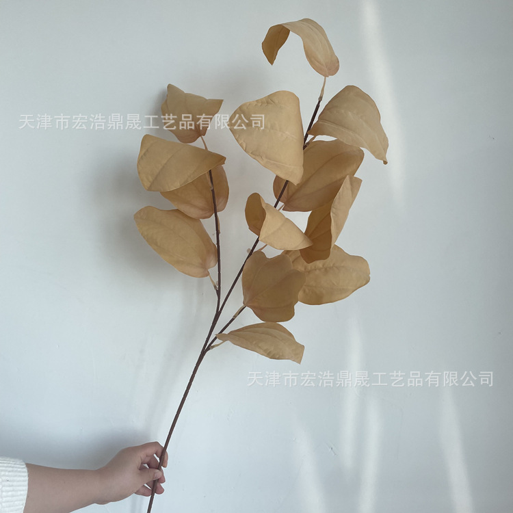 微信图片_202205021521405_副本