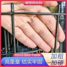 Ӳ���F�z�W�����B�u�W�Bֳ�W�~���F�W�ř�䓽z�W���@���x�W���o�W