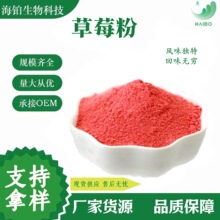 草莓粉 优质果粉 SC厂家现货冻干草莓粉现货批发