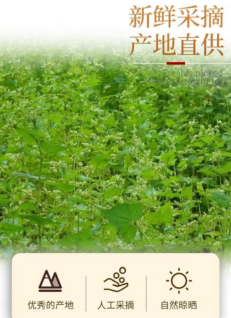Yellow Tartary Buckwheat Tea Ku Qiao Mai 500g Loose Dried Grains for Daily Brewing key features
