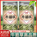 牛筋草中药材500g新鲜野生牛根草干千金草牛津牛顿草的功效与作用