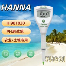 �����HANNA HI981030���|�Ȝy���x �r�I����PH���Ӌ