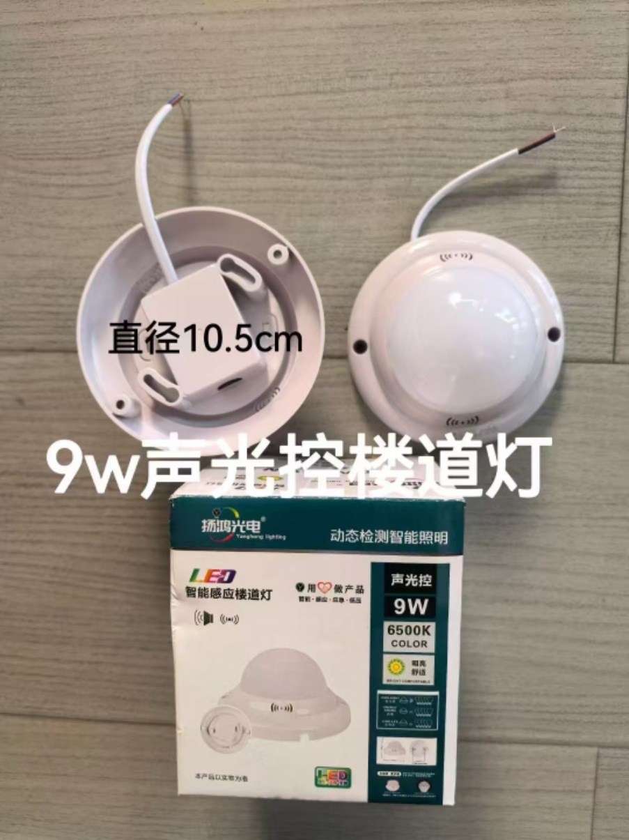 Luz de techo led redondo balcón pasillo luz Cuerpo Humano inducción sonido y control de luz Luz de Baño Luz de ingeniería pan