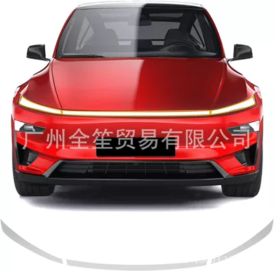 Supply Exclusively for Tesla: Car paint protective film - headlight-film-imported-tpu-protective-film-model-y-performance