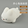 Silica gel rabbit, night light for friend, street lamp, Birthday gift, remote control, anti-stress