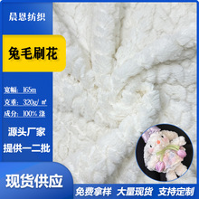 现货兔毛刷花单面剪花垂耳兔玩偶服饰鞋帽针织面料毛毯绒布料批发