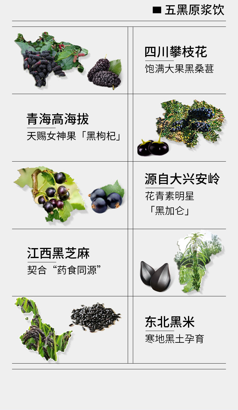 Five Red Five Black Herbal Paste Drink Combo Ready to Eat Goji Berry Paste 1.2L 40 Sachets quality and texture