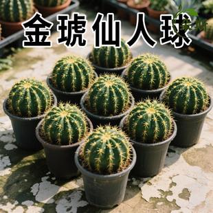 ��������������k���҃��������������Դ�̖���ֲ�ﳬ���w���B